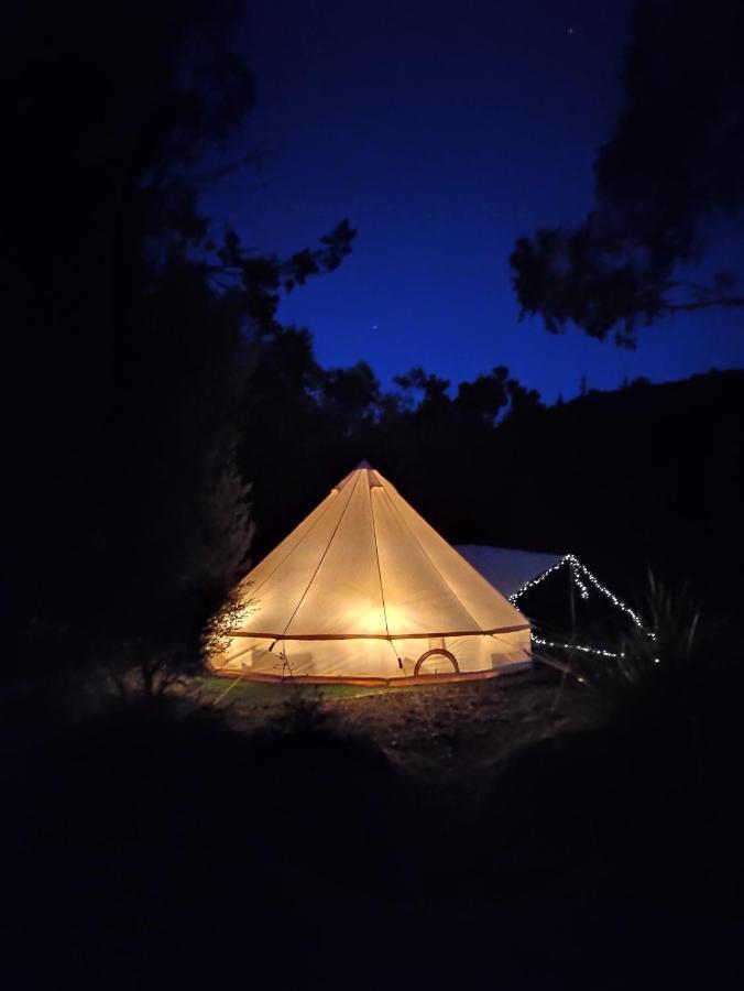 Glamping At Zeehan Bush Camp 외부 사진