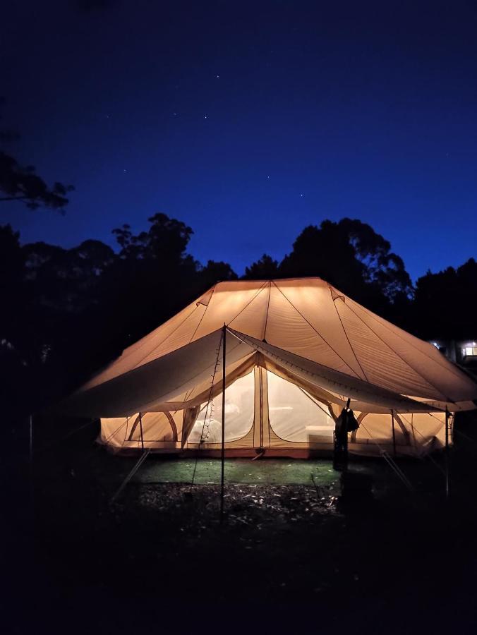 Glamping At Zeehan Bush Camp 외부 사진