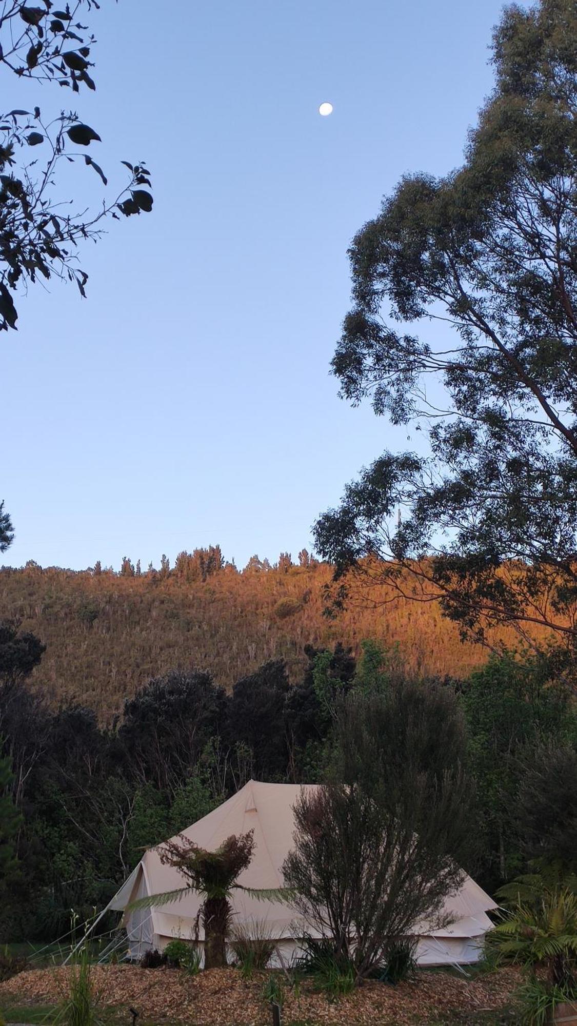 Glamping At Zeehan Bush Camp 외부 사진