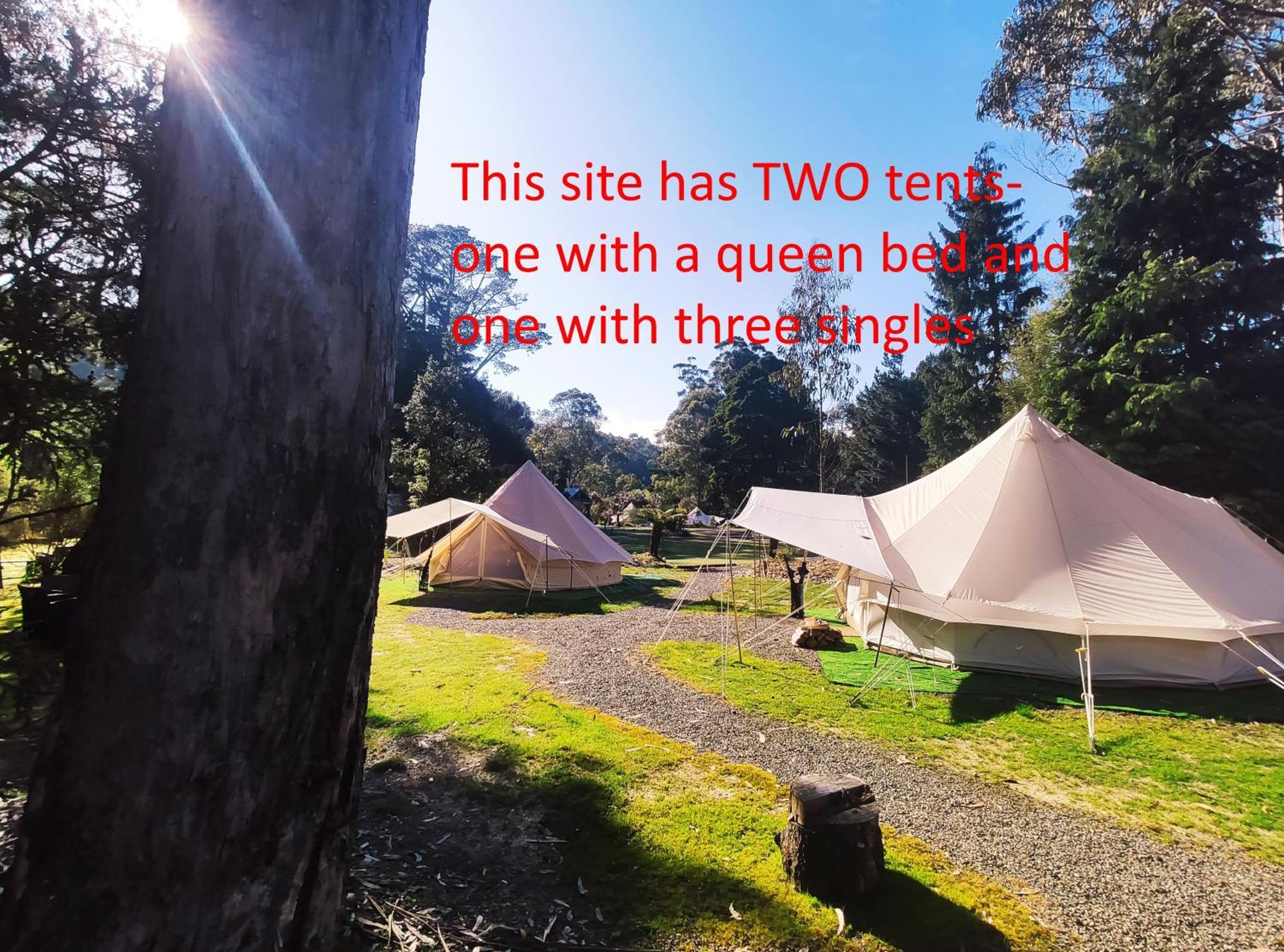 Glamping At Zeehan Bush Camp 외부 사진