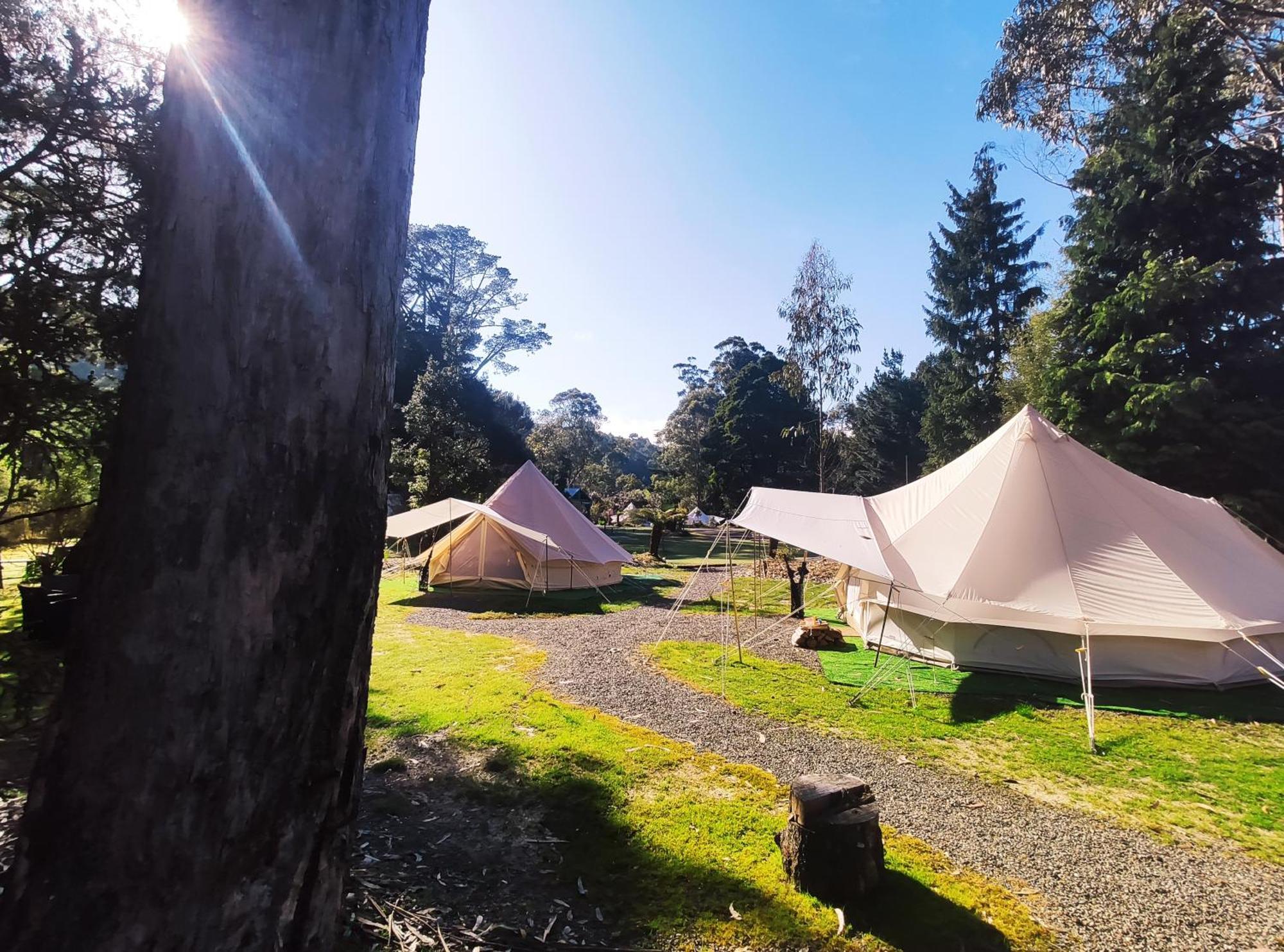 Glamping At Zeehan Bush Camp 외부 사진