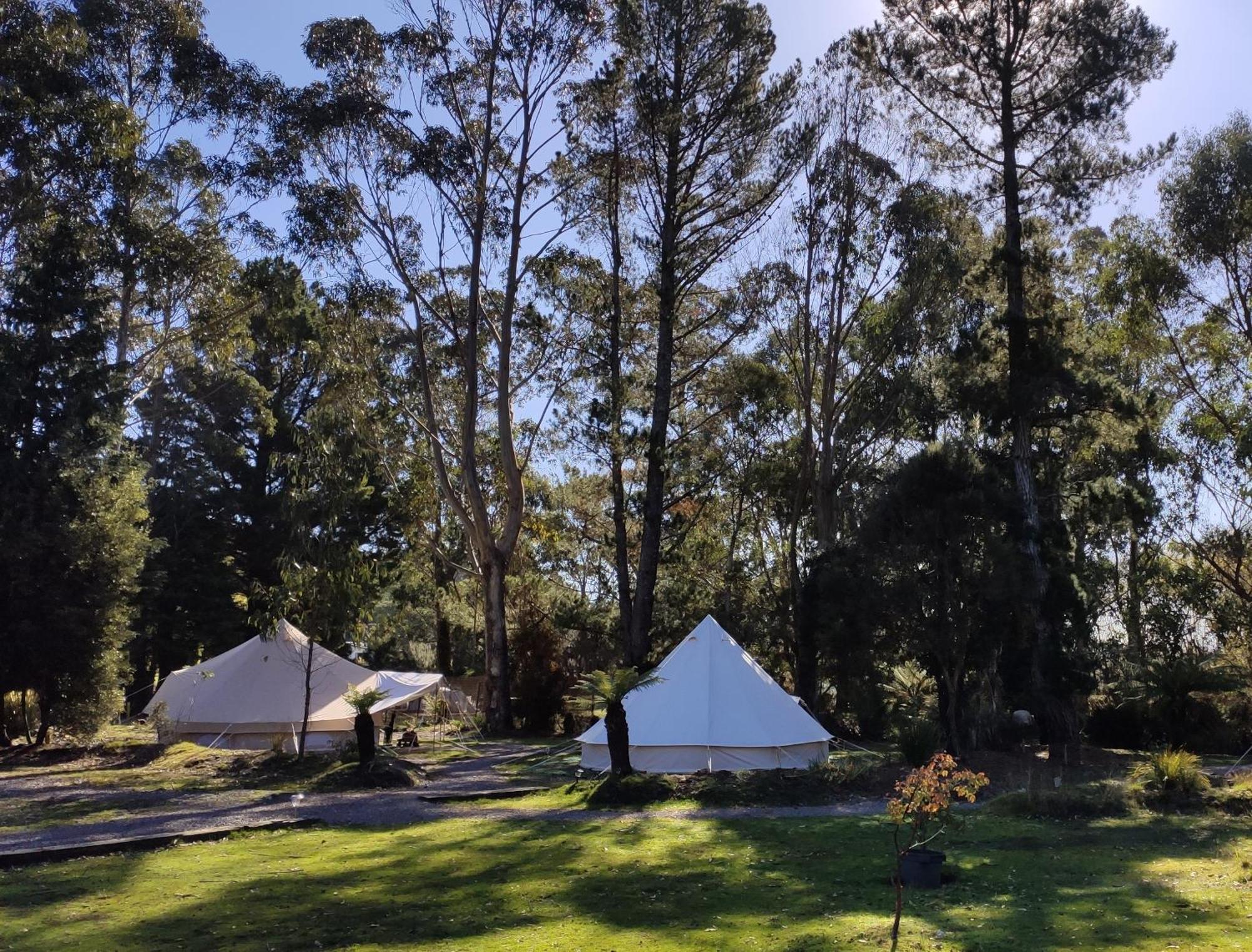 Glamping At Zeehan Bush Camp 외부 사진