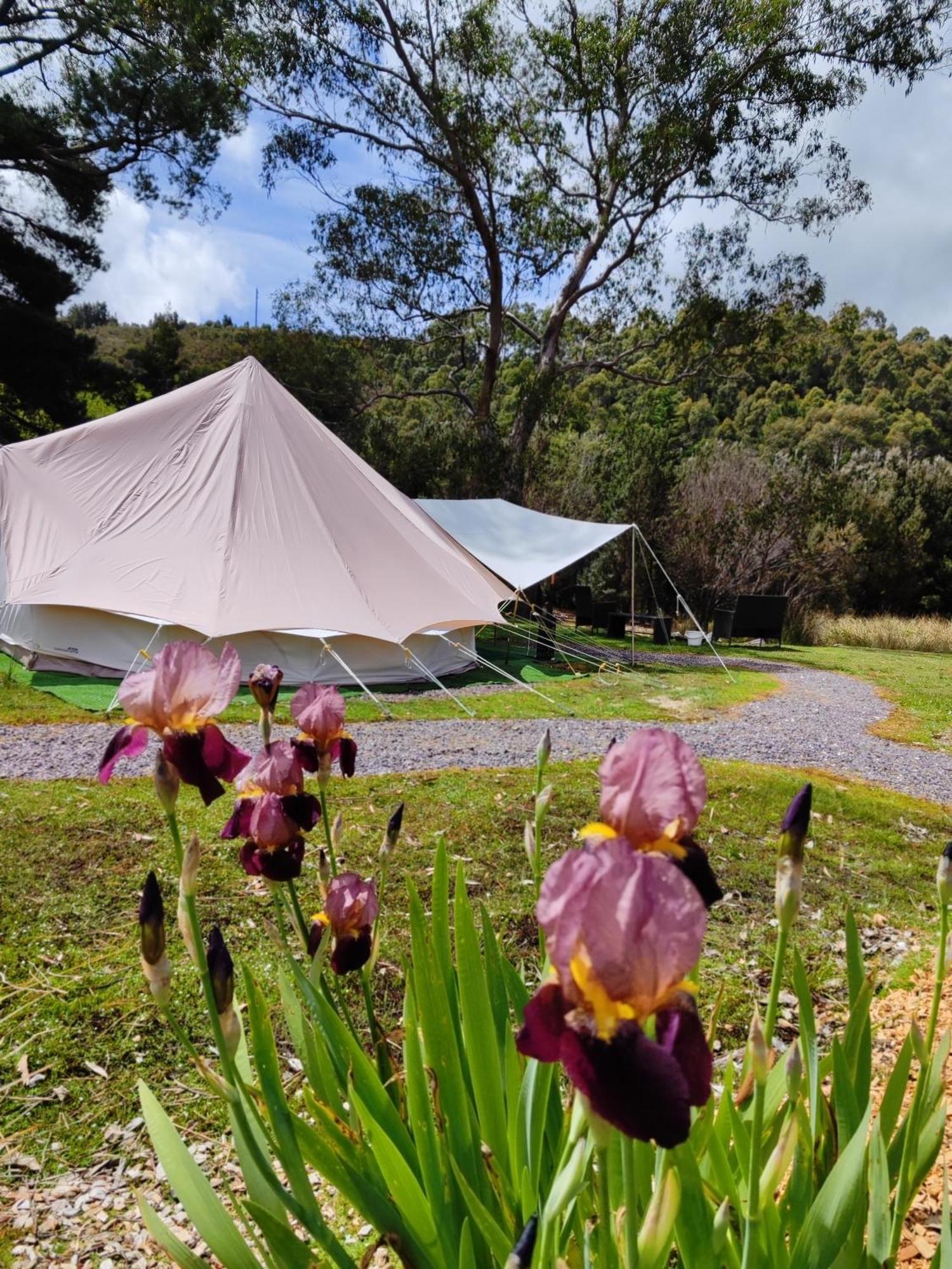 Glamping At Zeehan Bush Camp 외부 사진