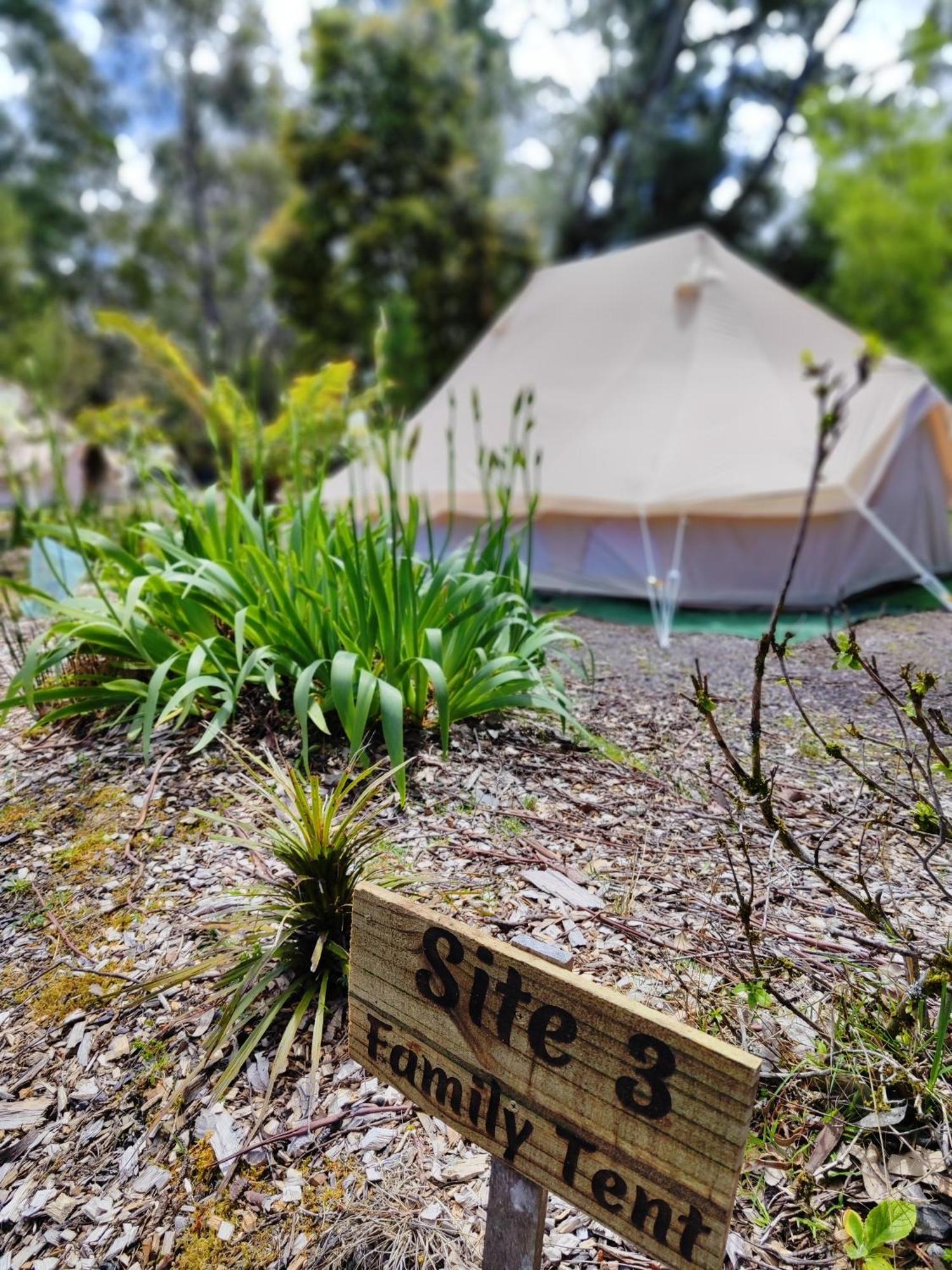 Glamping At Zeehan Bush Camp 외부 사진