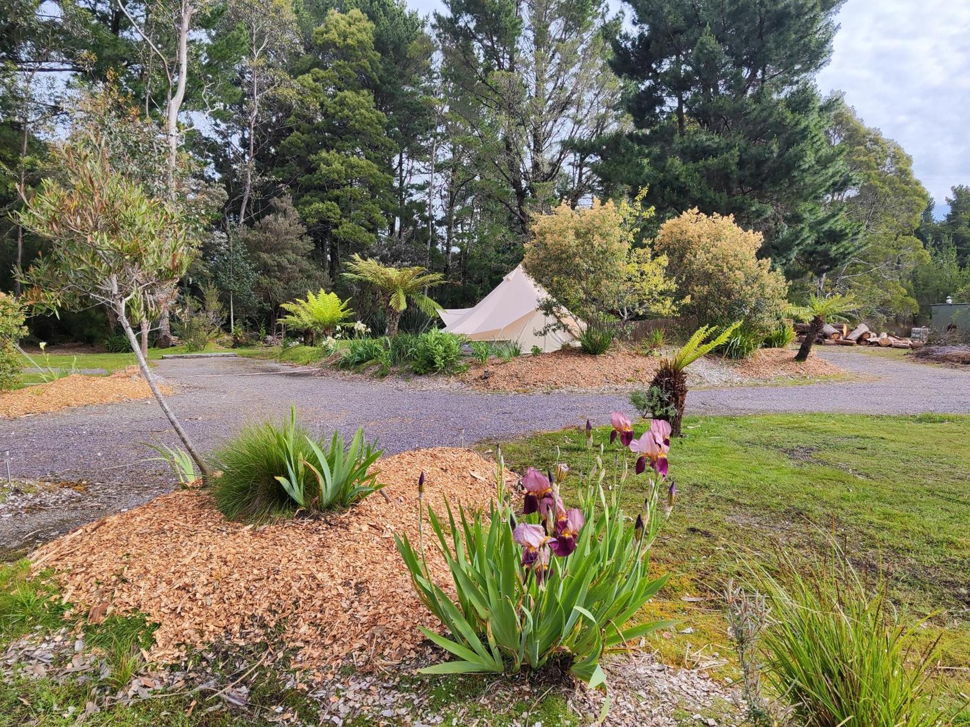 Glamping At Zeehan Bush Camp 외부 사진