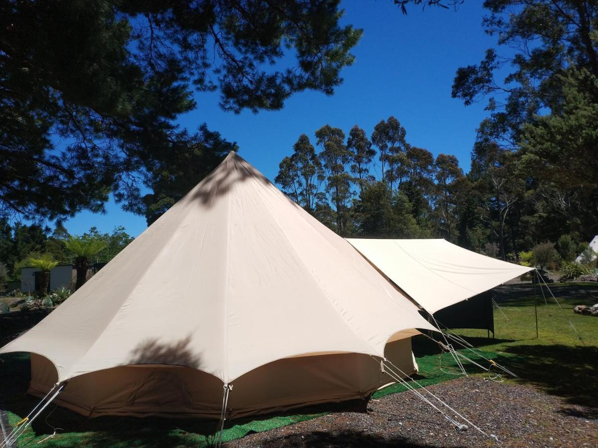 Glamping At Zeehan Bush Camp 외부 사진