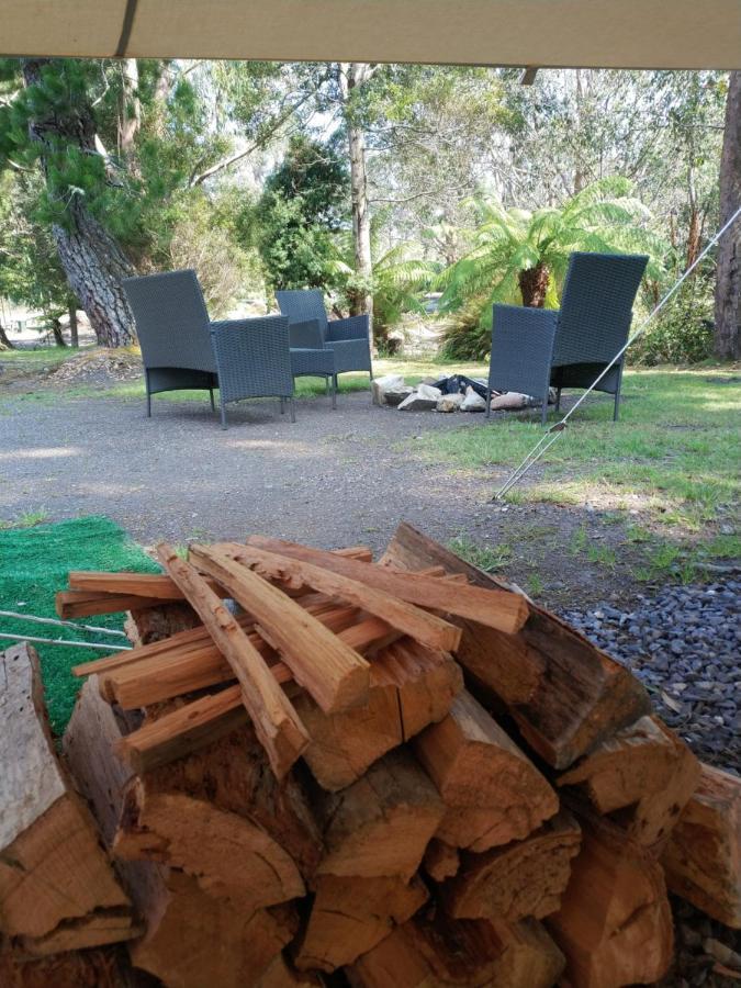 Glamping At Zeehan Bush Camp 외부 사진